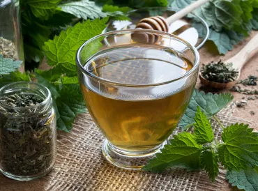 Fresh and dried nettles with a cup of nettle tea.