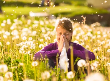 A little girl in a field, sneezing her poor head off.