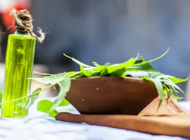 neem leaves and a prepared oil