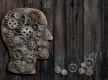 A wooden cut-out of a head with interlocking gears inside it