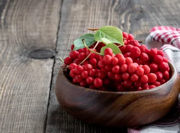 a bowl of schisandra berries