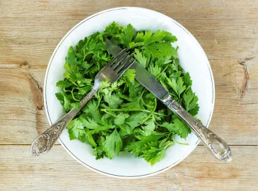 a bowl of fresh cilantro