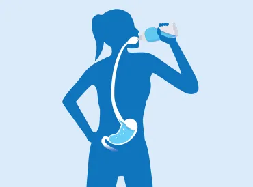 a diagram of a woman drinking water that passes through her digestive system