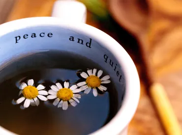 A cup of chamomile tea. The mug says "peace and quiet."