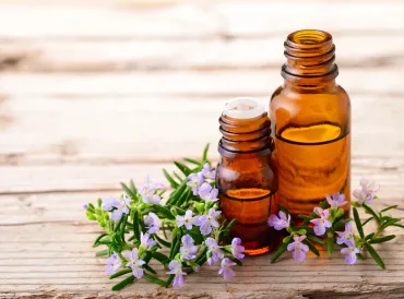 Blooming rosemary sprigs on a wooden table with essential oils in brown bottles.