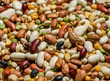 a mass of different colored beans