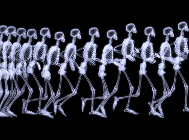 A time-lapse x-ray of a human in motion
