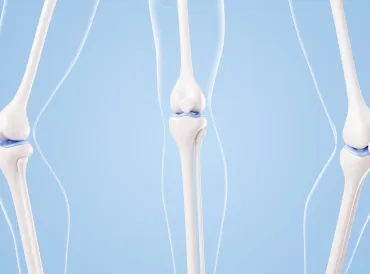 image of cartilage between bone
