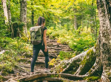 Woman hiking in forest