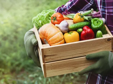 Farmer holding a box of fresh produce