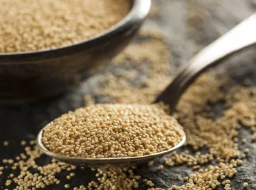 a spoonful of raw amaranth and a bowl of the ancient grain
