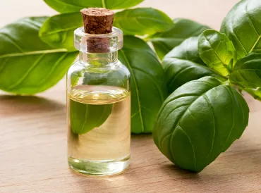 a bottle of basil oil surrounded by fresh herbs