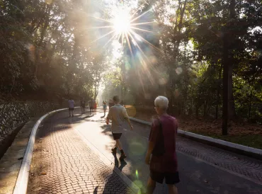 a group of strangers taking a brisk walk in the park