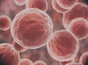 damaged and mutated cells
