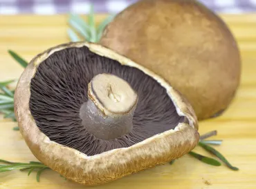 Plump portabello mushroom caps
