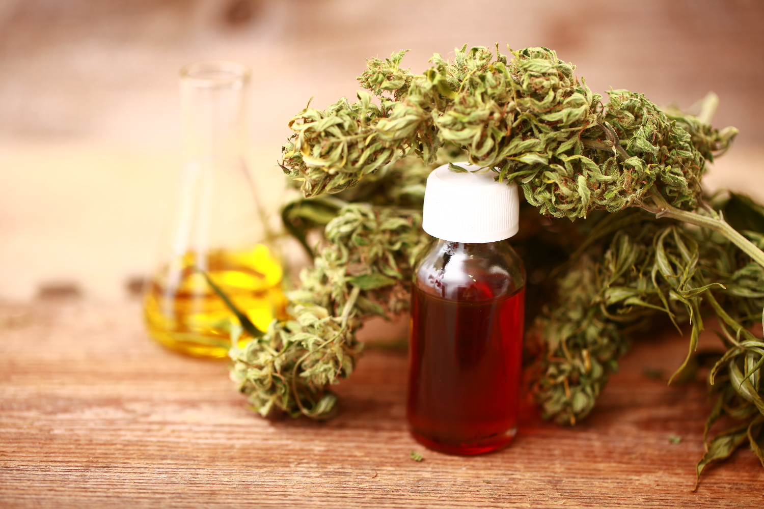 Hemp, hemp oil, and a CBD extraction