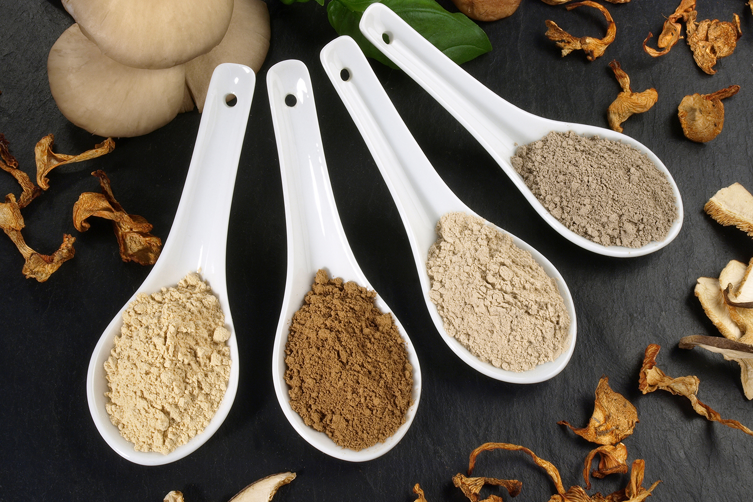 scoops of different powdered mushrooms