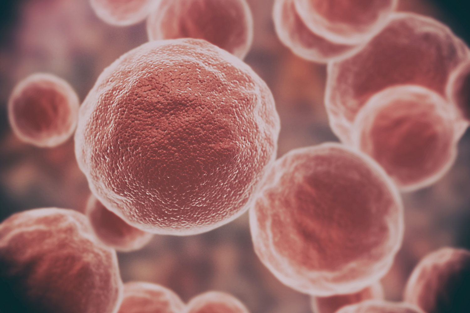 damaged and mutated cells