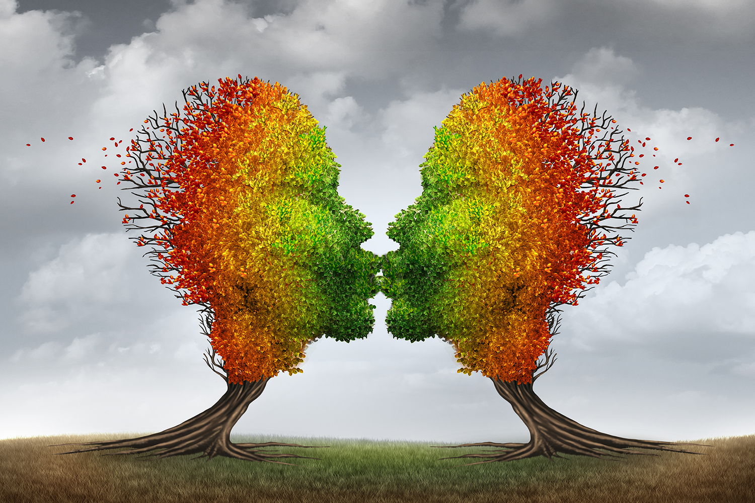 two trees with autumn leaves giving each other a smooch