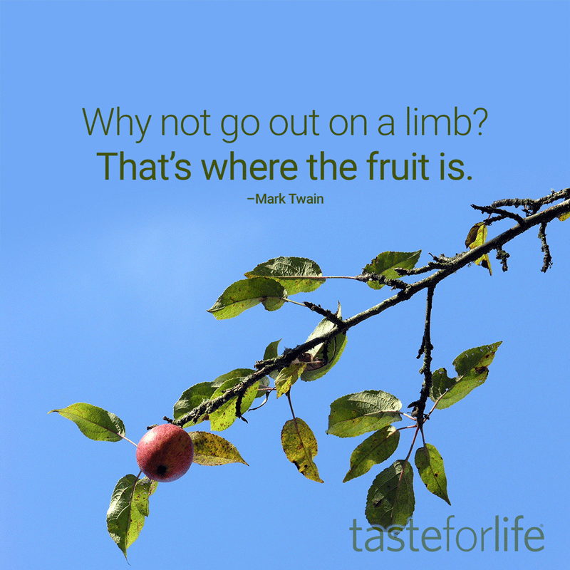 Out On A Limb Taste For Life